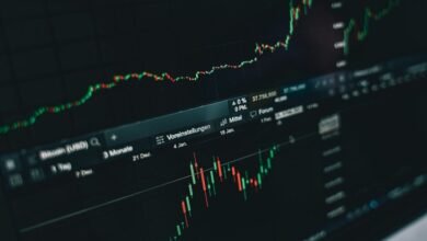 financial insights for business