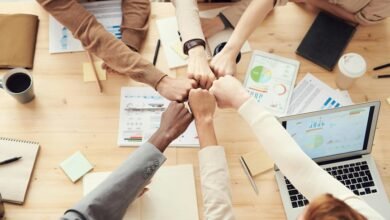 resilient financial growth models