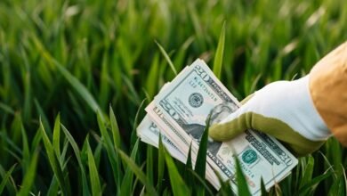 sustainable financial systems development